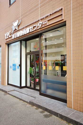 YPC東京動物画像センター02