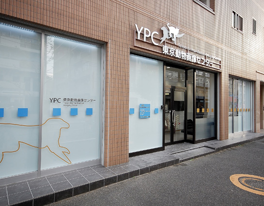 YPC東京動物画像センター
