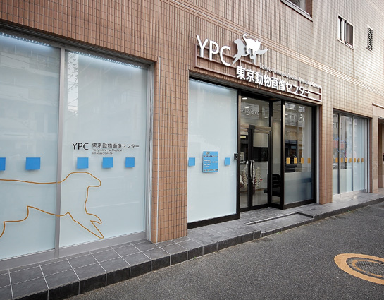 YPC東京動物整形外科病院 整形外科・神経外科に特化した2次診療専門動物病院